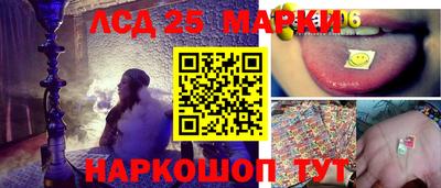 гидропоника Аша